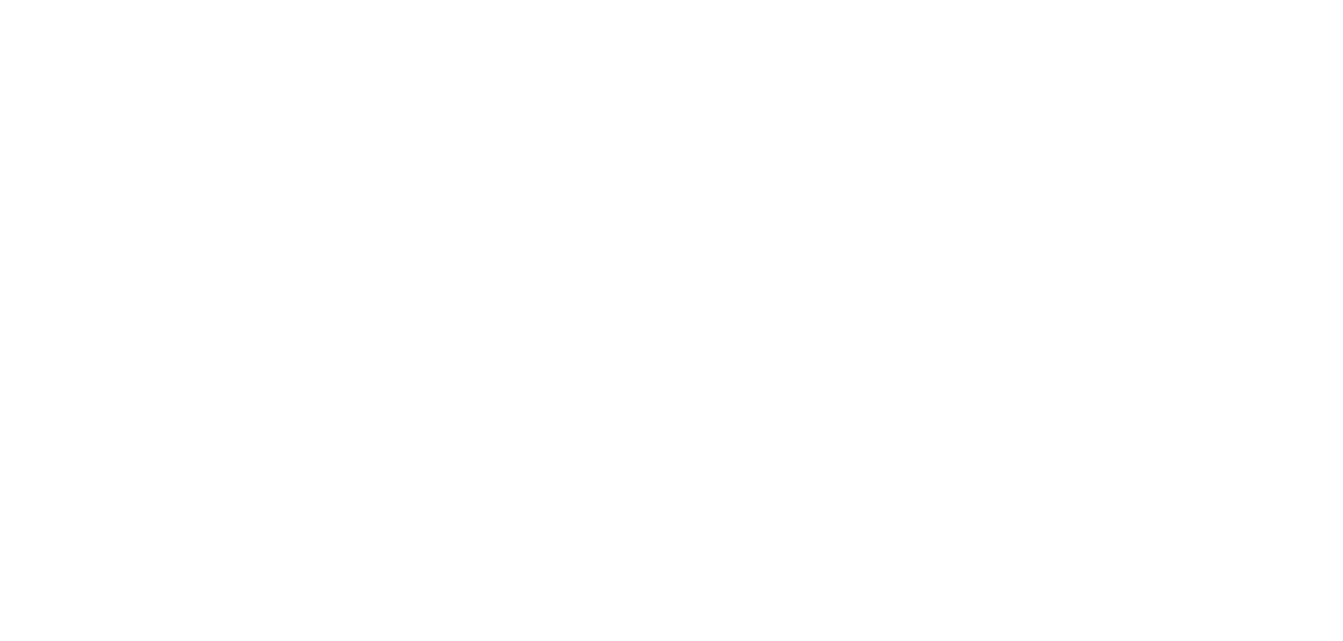 SCAN Inteligencia de Mercado